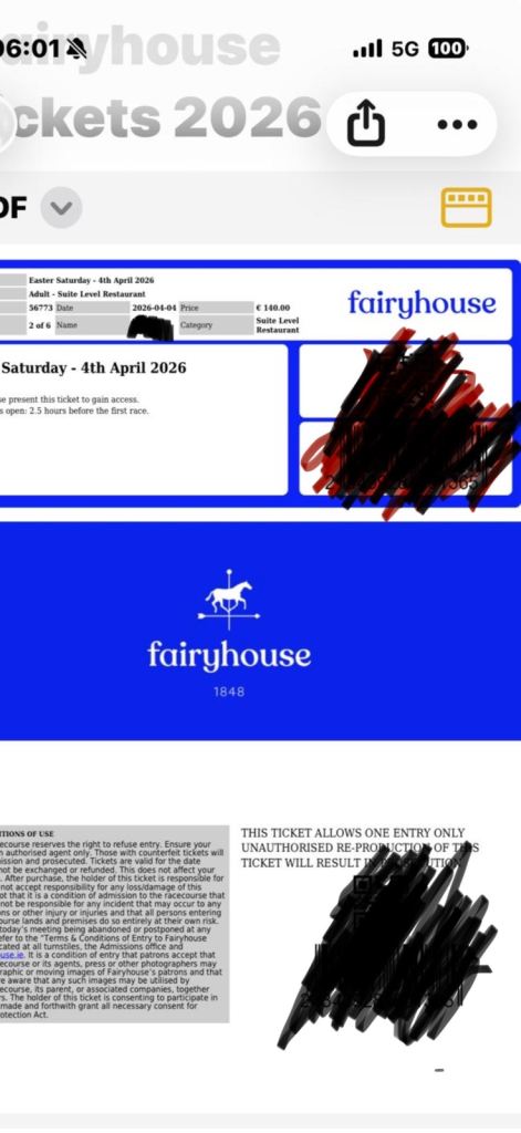 2x Fairyhouse Horse Racing Tickets – Suite Level / Restaurant Access