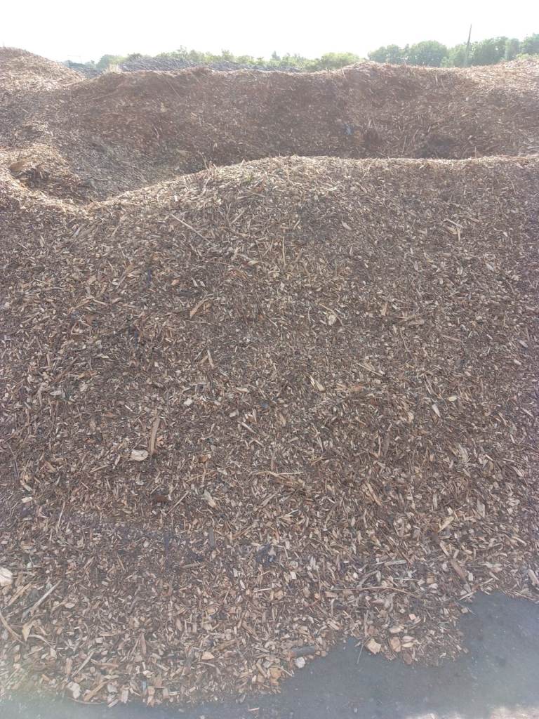 Wood chip bark