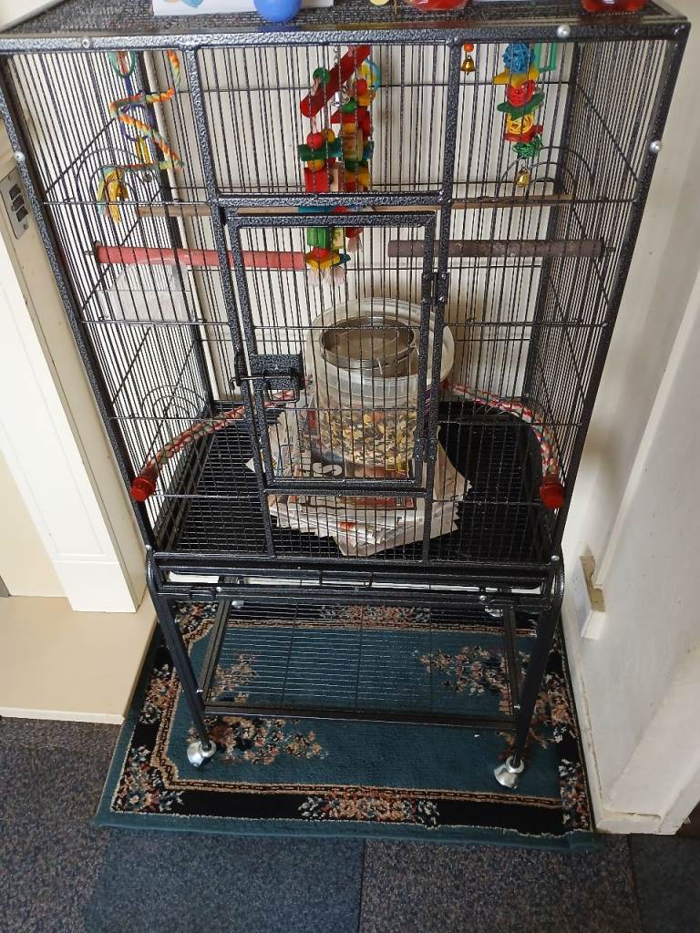 Bird cage like new