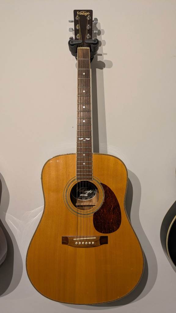 Vintage EA600IR Electro-acoustic guitar