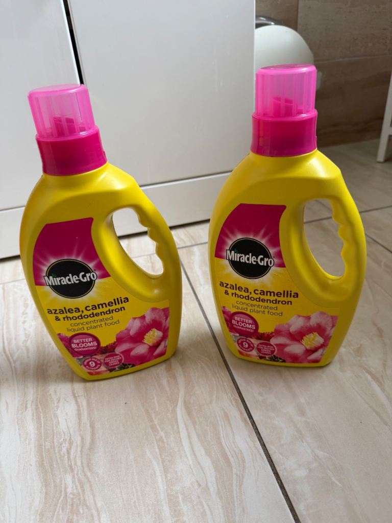 2x Miracle-Gro Azalea, Camellia & Rhododendron Plant Food