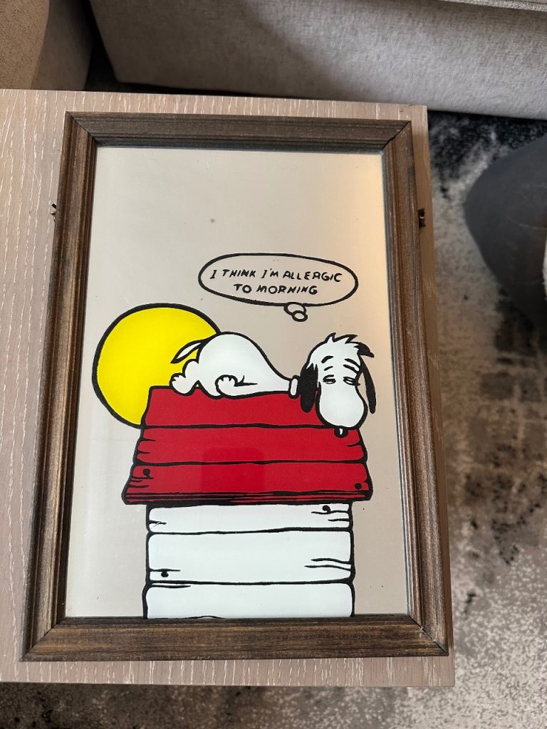 Peanuts Snoopy Mirror 