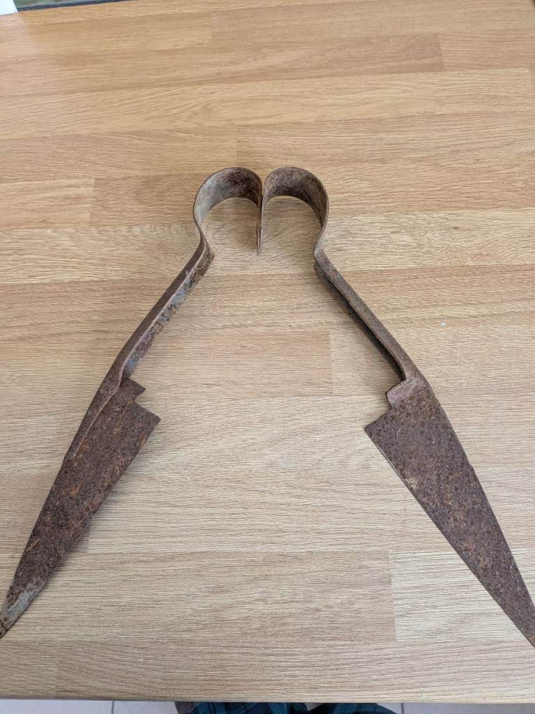 Vintage Sheep Shears for practice or Display