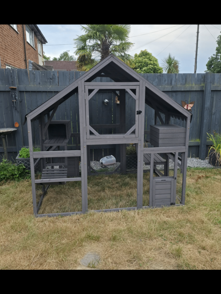 Catio