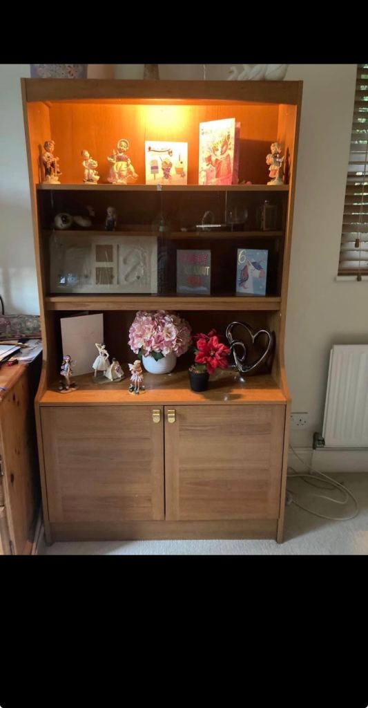 Display cabinet with storage