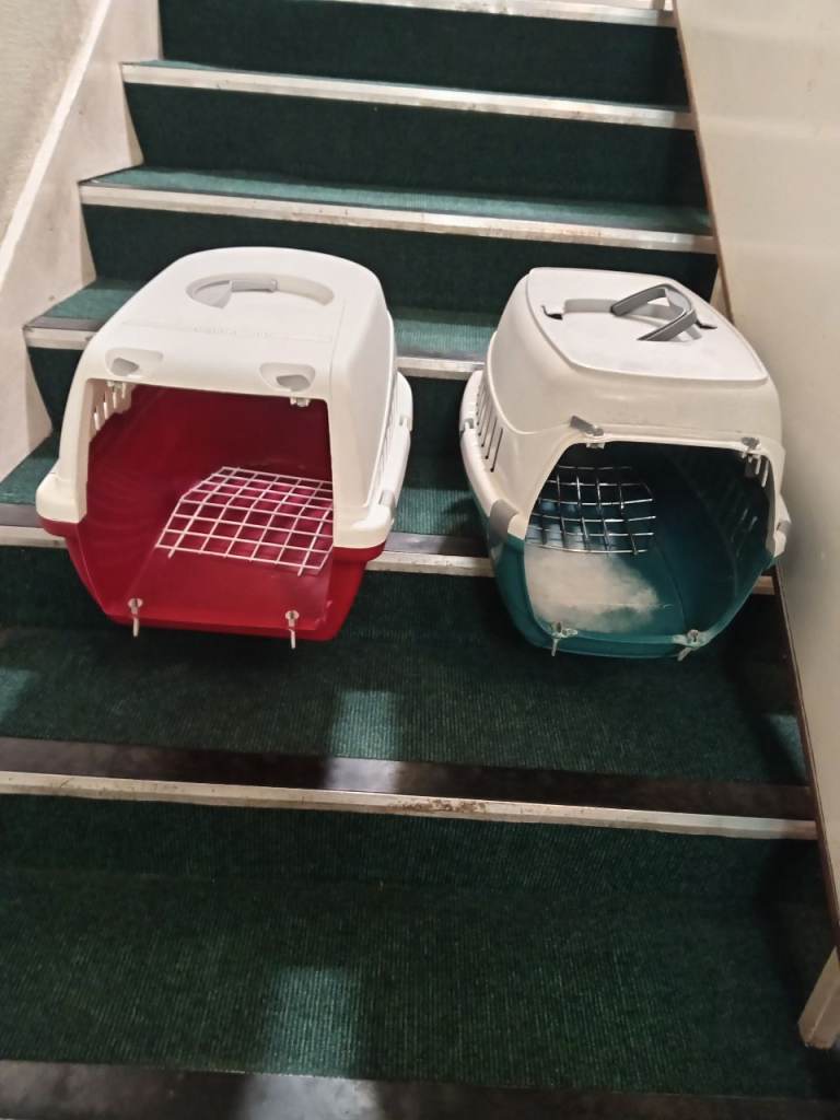 Free Cat Carriers. 