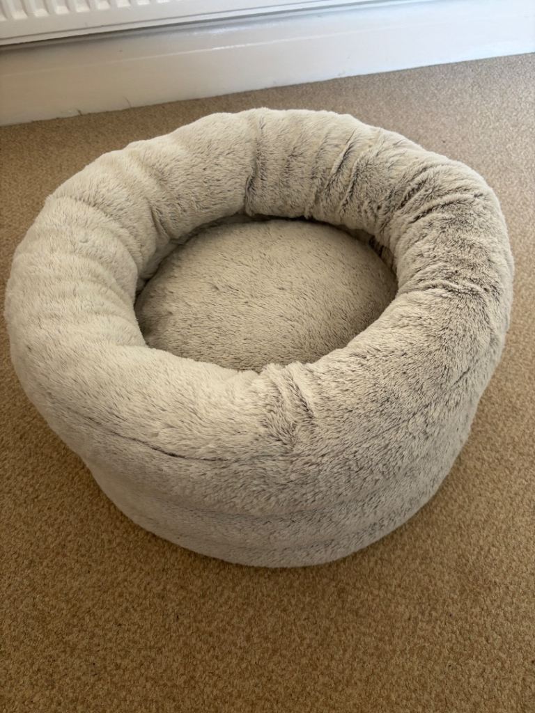 Cat bed