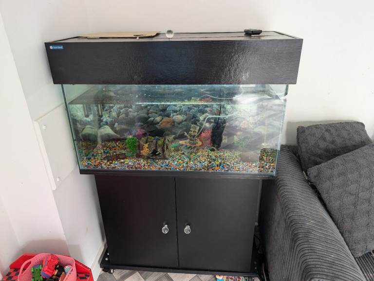 image for Fish tank 