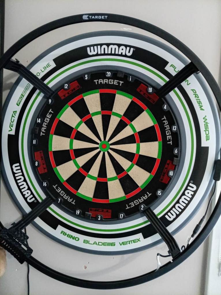 Darts setup (will sell individuall) 