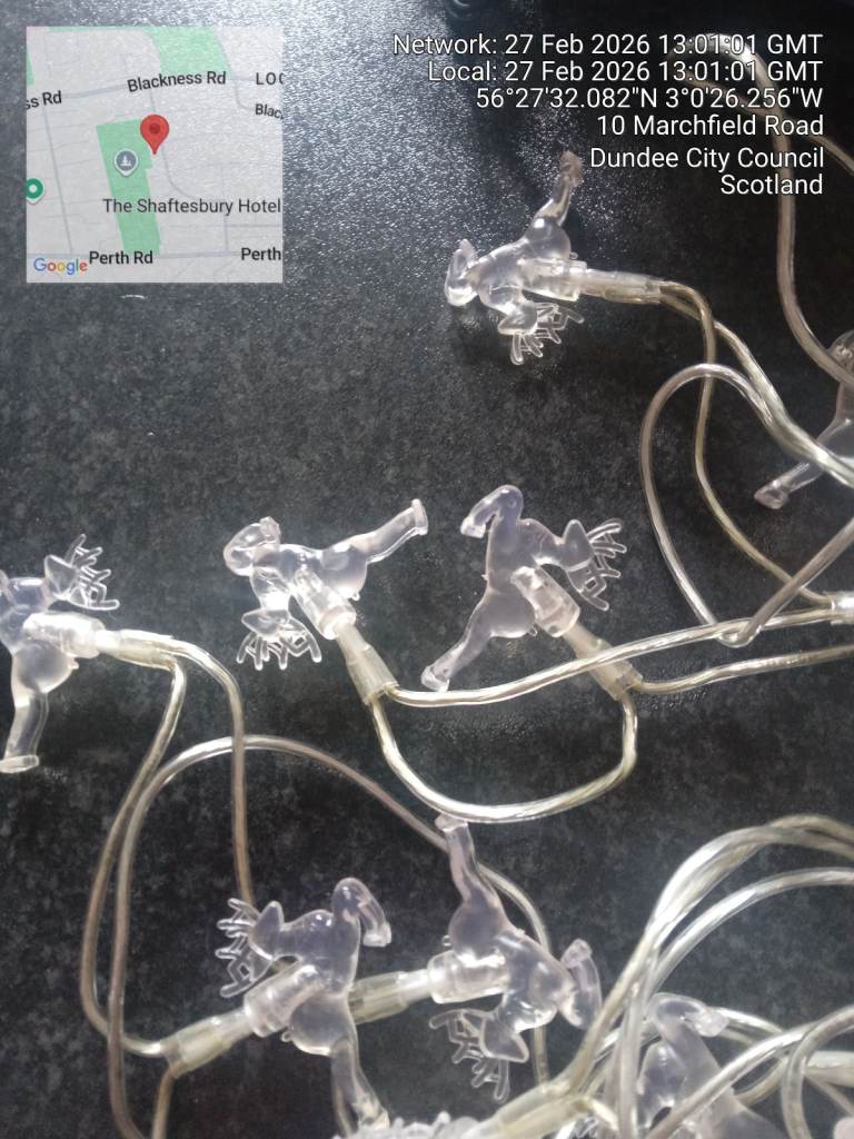 REINDEER FAIRY LIGHTS, 30 WARM WHITE LEAPING REINDEER ON A STRING FROM HOMEBASE EX CON £8