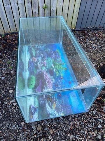 Large Fish Tank