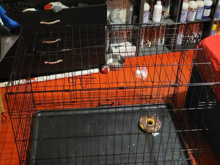 Large Dog Cage Crate Training