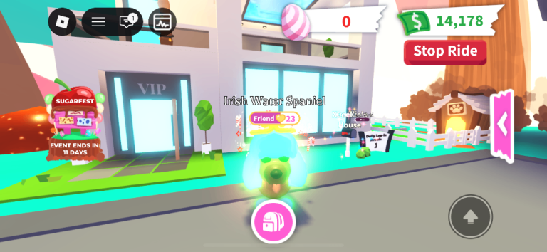 Adopt me mega Irish water spaniel 