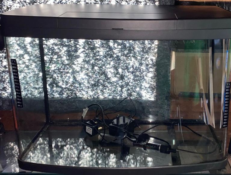 Fish tank 