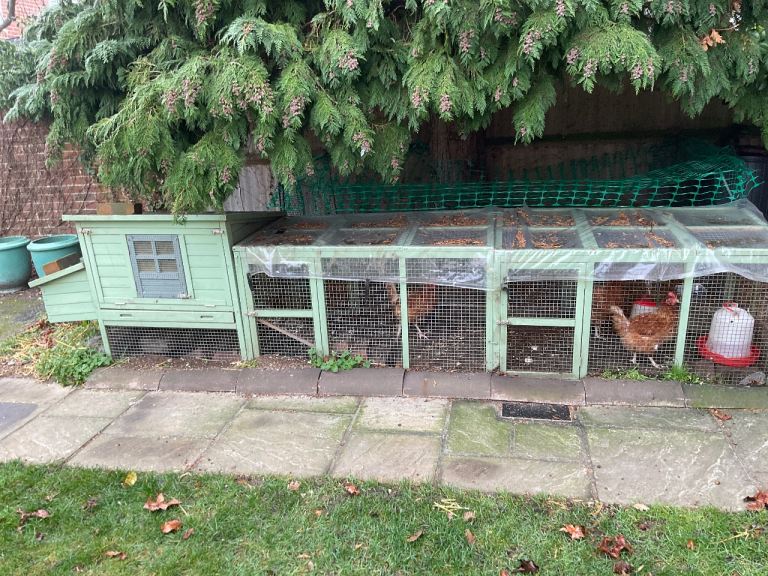 Hen coop, run hens , etc