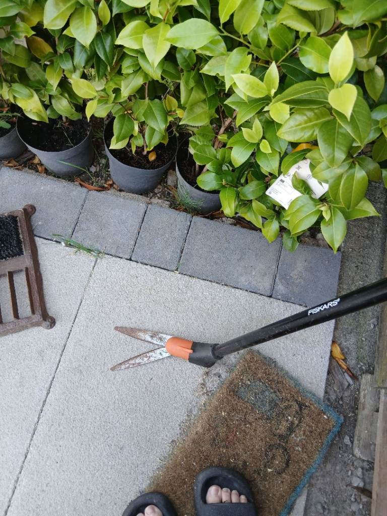 Friskars grass trimmer