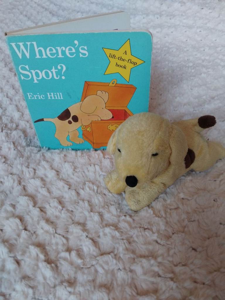 Where's Spot? Lift-the-Flap Book & Soft Toy Dog