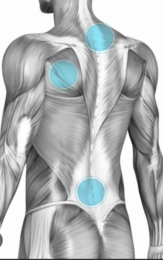 Mobile Sports Massage for Active Men – Nottingham