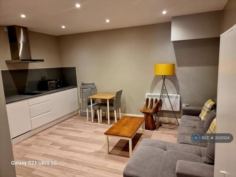 Studio flat in Blaenant, Emmer Green, Reading, RG4 (#3025124)