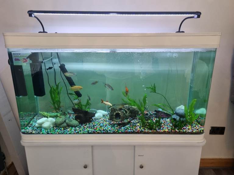 309 litre fish aquarium with cabinet-quick sale
