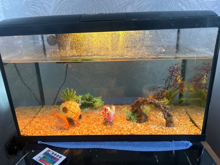 fish tank accessories for sale bristol Kooterfun Mermaid's Castle Decorations-28pack Include Castle Hideout, Faux Coral,Starfish and Artificial Plastic Plants Aquarium Décor All Fish-Pink : Pet Supplies and features the look of coral encrusted with colorful plants and shells Accessories aquarium in Bristol |