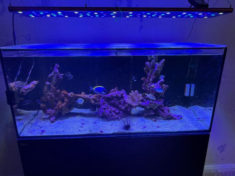 Red Sea Reefer 350 litre Marine tank, crack left bottom corner 
