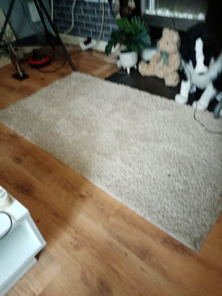 Cosy Beige Shaggy Rug – Good Condition
