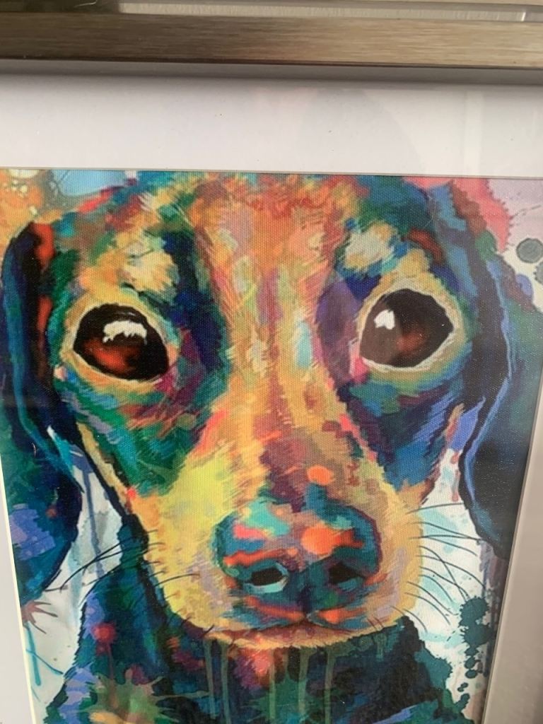 Framed sausage dog picture