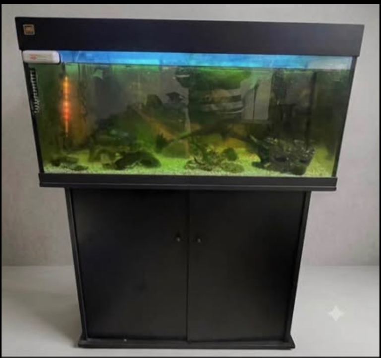 Juwel Rio 180 Litre Tropical Aquarium, Black Cabinet & Live Fish Setup