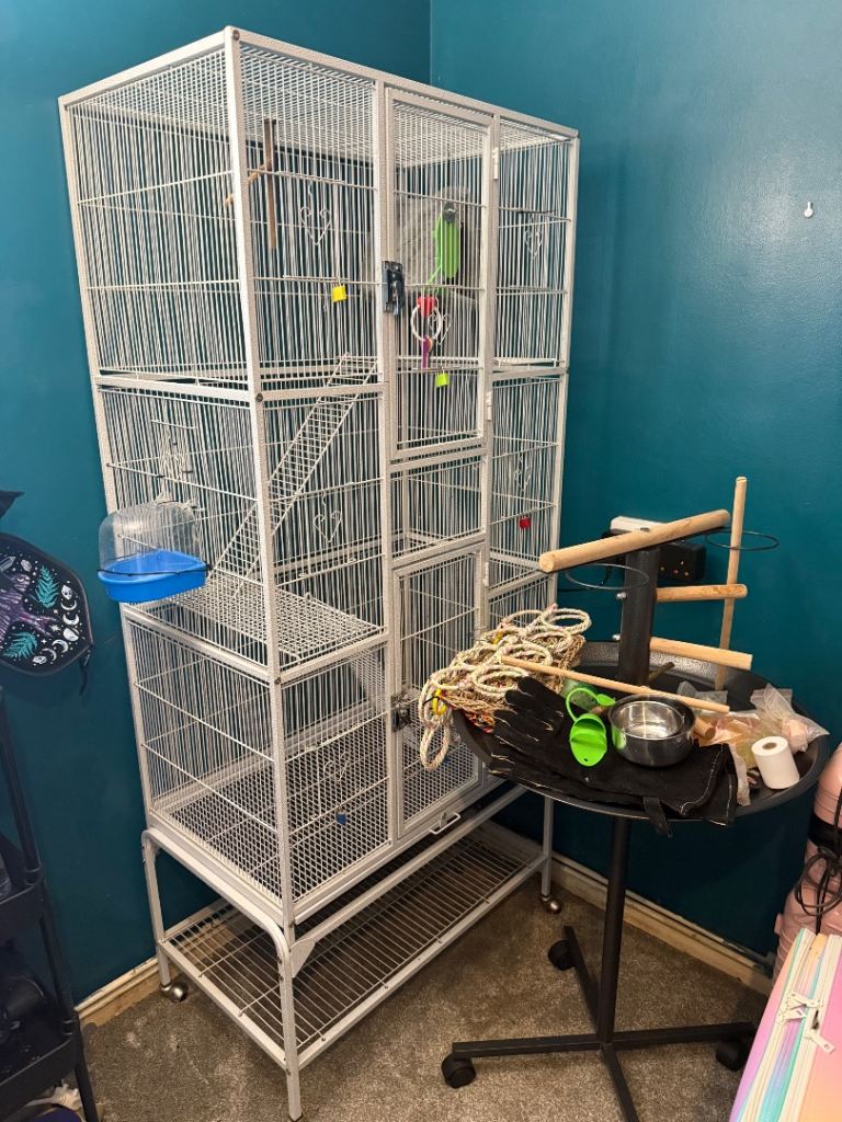 XL PARROT CAGE, stand, and accessories 