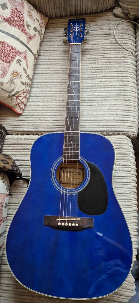 Acoustic Guitar, FREE tuner, picks, plectrums, strings and case 