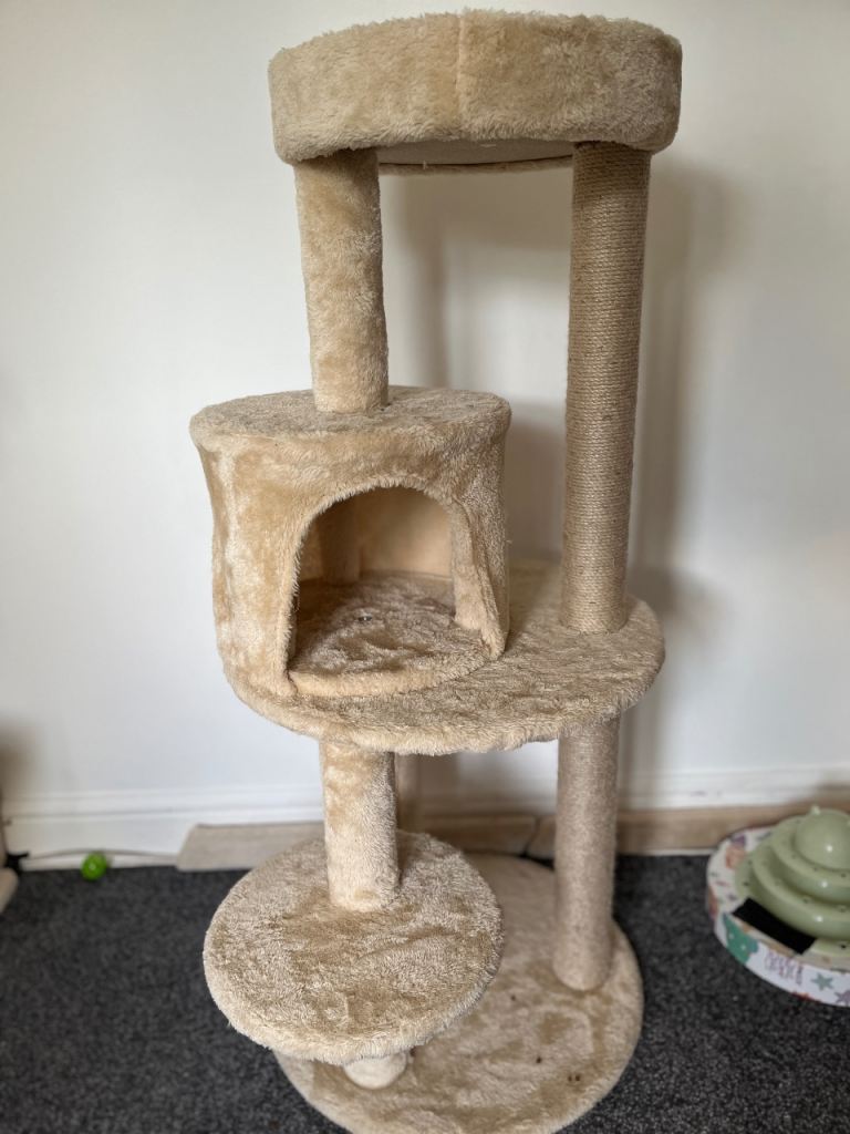 Cat scratch post 