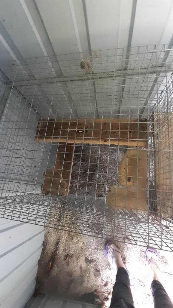2 wire chinchilla cages, no trays