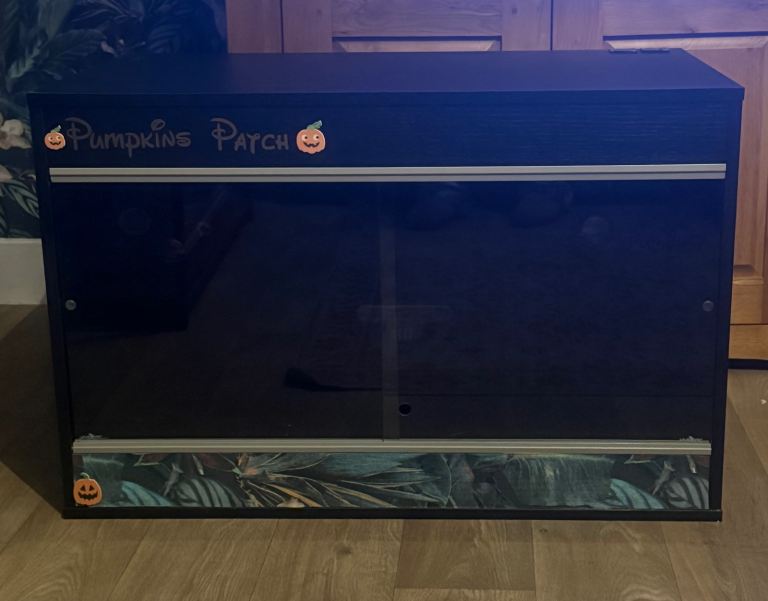 Vivarium used for a baby beardie, only used for 6 months 