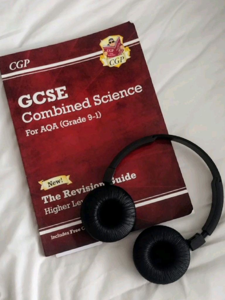 Gcse maths and science tutor