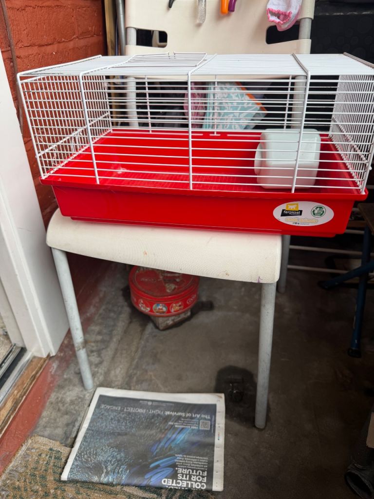 Small cage for brid  very good condition like new 