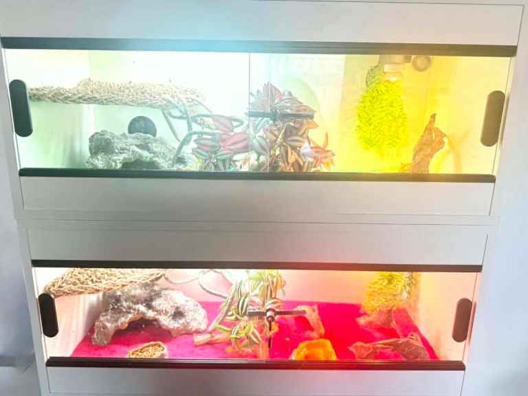 2 x Repti-life white vivariums like new