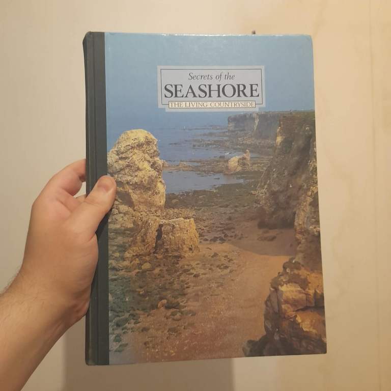 Secrets of the Seashore [BOOK]