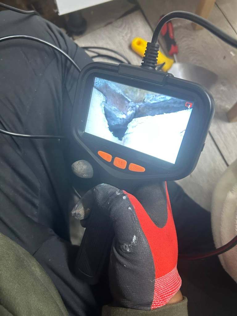 Pest Control in Lambeth – Insured Rat & Mouse Removal