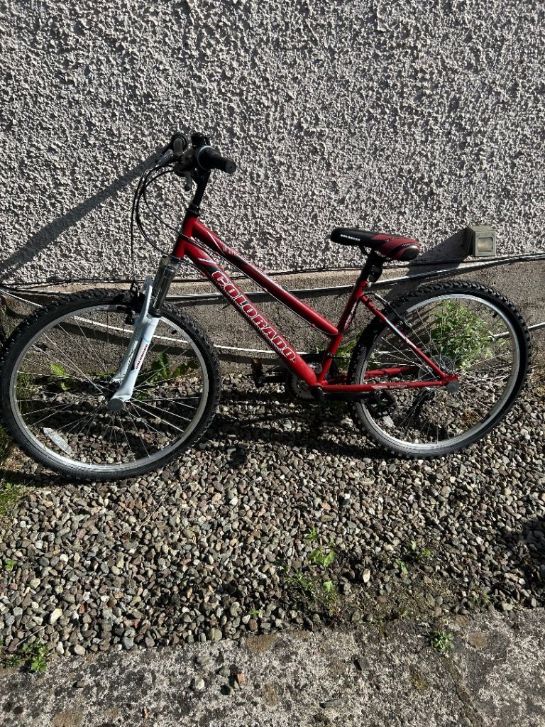 Two mountain bikes