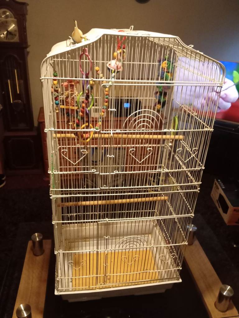 Large bird cage with accessories 