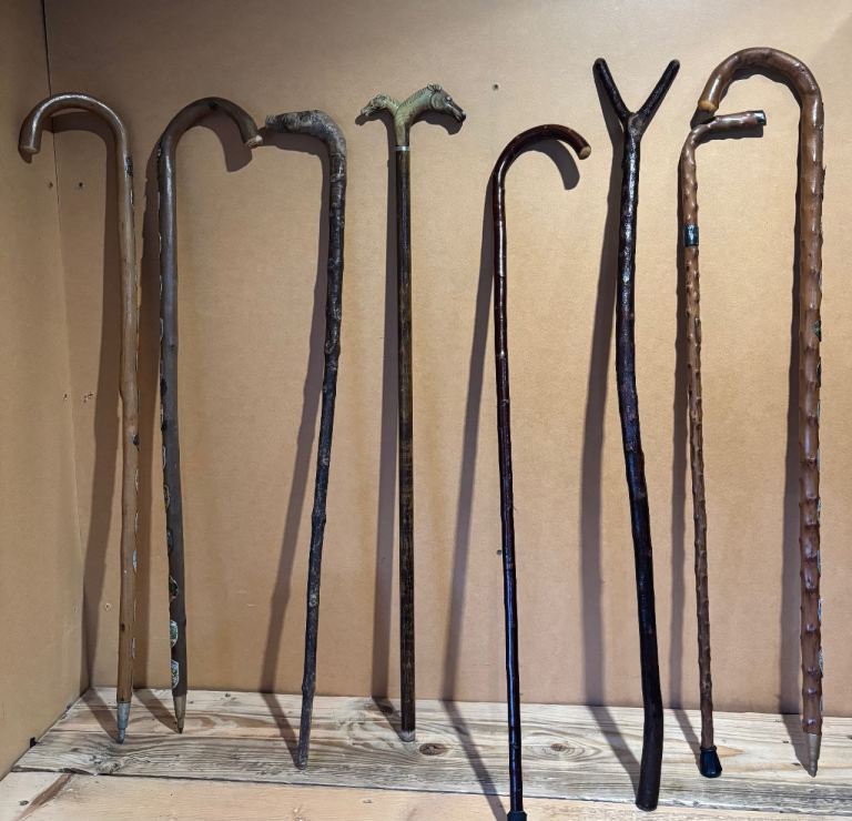 Walking sticks Ect Job lot 