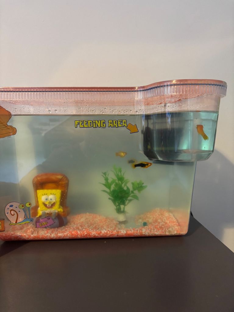 Small kids fish tank with filter 4 fish and Spongebob decorations