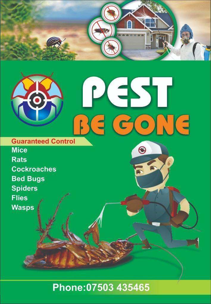 Pest control services any time Rat mice bedbugs mouse cockroaches ants