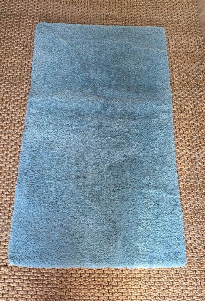 Fluffy Blue Rug