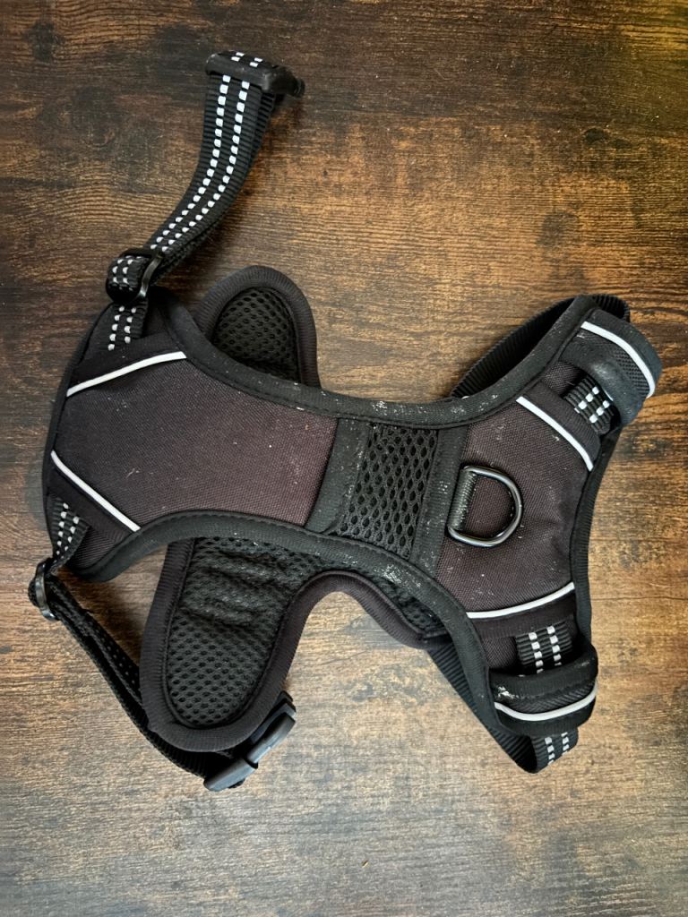Dog harness for small dog or puppy 