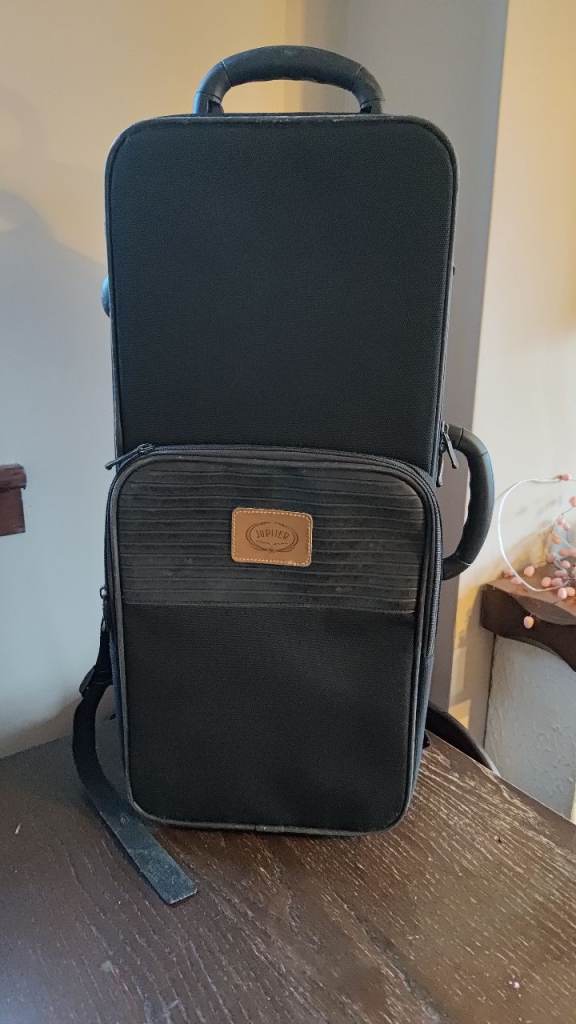 Jupiter Alto Saxophone Case