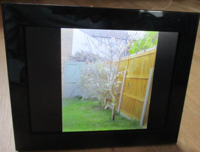 Kodak Digital Photo Frame