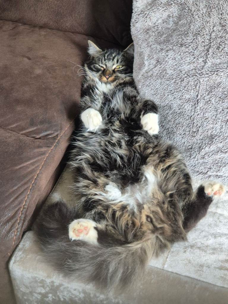 10 months old.
