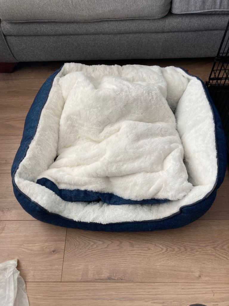 Dog bed 